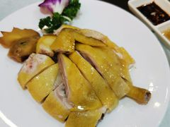 -顺德佬华侨城店·商务宴请·团建