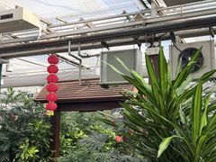 -春满园生态餐厅(南宫路店)
