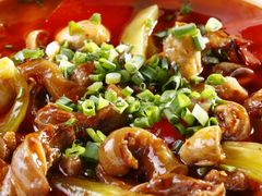 红烧牛鞭-曾牛肉