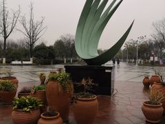 -白塘生态植物园