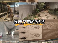 -北京周口店北京人遗址博物馆