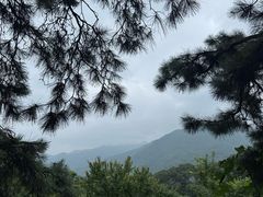 -波尔登森林公园