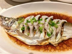 豉油蒸白水鱼-金美华轩(东方路齐鲁店)