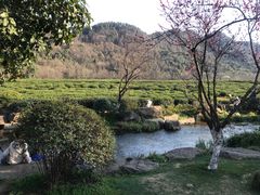 -中国茶叶博物馆(双峰馆区)