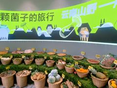 -花菇朵 ll 野生菌锅·精品滇菜(后沙峪店)