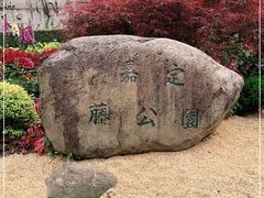 -嘉定紫藤园