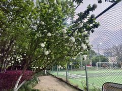-杭州城北体育公园