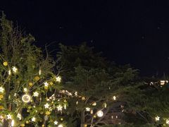 -中山路壹号传奇club·啤酒花园餐厅