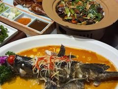 -云海肴·汽锅鸡·云南菜(南强街店)