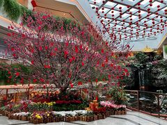 -白天鹅宾馆-宏图府餐厅