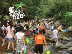 -少华山国家森林公园