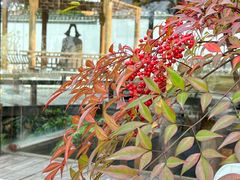 -天寿寺塔院
