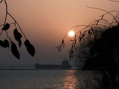 -上海吴淞炮台湾国家湿地公园