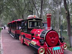 -大兴滨河森林公园