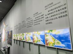 -上海城市规划展示馆