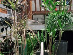-茶颜悦色(吾悦广场六号门店)