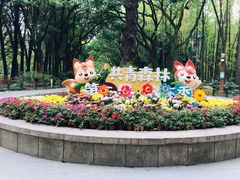 -上海共青森林公园
