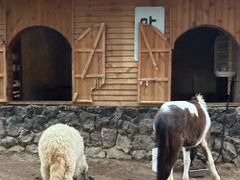 -HERRE·FARM 赫尔露营农场·团建聚会包场