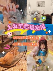点击看大图 -神奇动物撸宠馆·羊驼·小浣熊·异宠(豫园店)