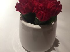 -苏浙总会(国金中心店)
