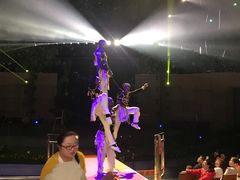 -灵玲国际马戏城