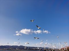 -海埂大坝