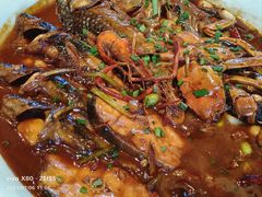 红烧昂刺鱼-二十八里太湖船菜(吉祥路店)