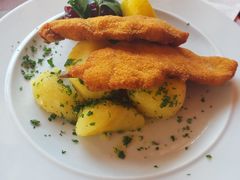 炸火鸡排-布劳伽斯特豪夫哈尔施塔特宾馆