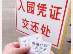 -嘉定紫藤园