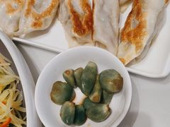 -东方饺子王(大屯路店)