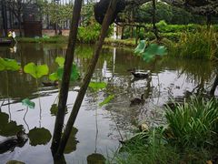 -洪湖家庭农场·团建·露营·会议