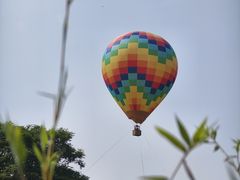 -中国科学院西双版纳热带植物园