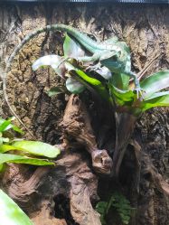 点击看大图 -酷嗒动物文化乐园(cutezoo西溪乐天城店)