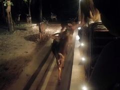 -清迈夜间动物园