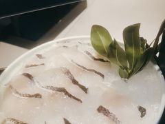 -辣伍鲜毛肚老火锅(元一店)
