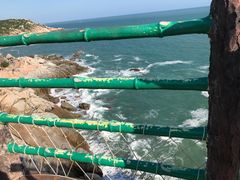 -广东惠东海龟国家级自然保护区