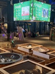 -酷嗒动物文化乐园(cutezoo西溪乐天城店)