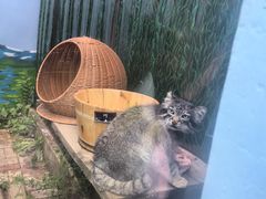 -青藏高原野生动物园