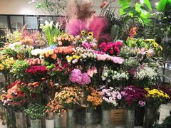 -T11生鲜超市(朝阳公园店)