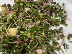 -和源祥·日照菜扛把子(万平口一店)