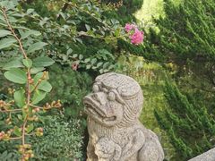 -上海醉白池公园