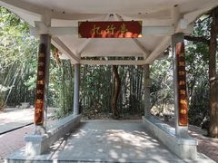 -大屏嶂森林公园