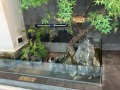 -大榕树下顺德菜(融创茂店)