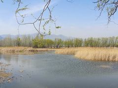 -野鸭湖国家湿地公园