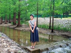 -白水寺森林公园