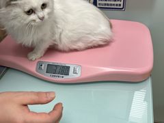 -宠福鑫康馨动物医院·骨科·眼科