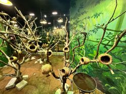 -Zoolung Zoolung动物主题公园(海信广场店)