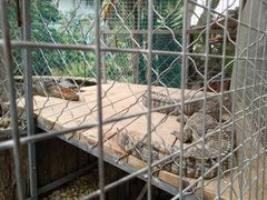 -呀路古热带植物园