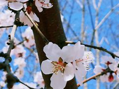 -天津东丽湖风景区