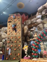 -卡通尼·Safari非洲探索乐园·生日会(金桥国际商业广场店)